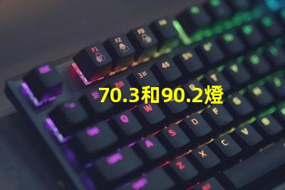 70.3和90.2燈珠哪個好 sFN60燈珠和70.3哪個好